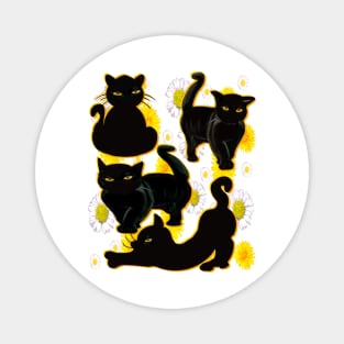 Cat silhouette on top of wildflowers feelings pattern black cats  among dandelions And daisies floral bright flowers Magnet